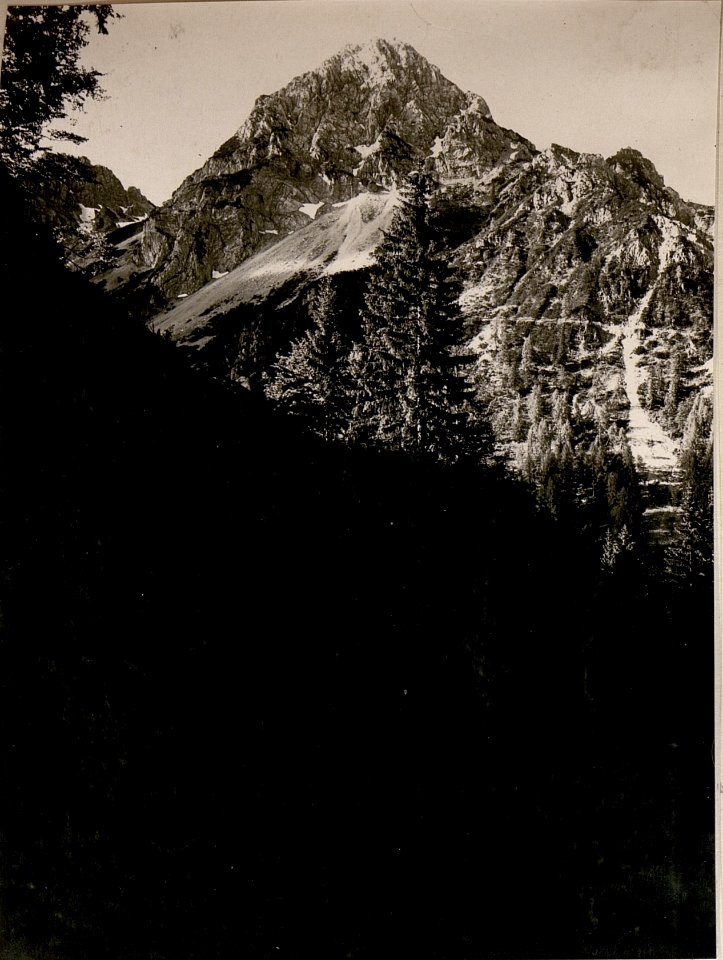 Mittagskogel vom Wege zur Seilbahnstation Rankgraben. (4-7.1917.) (BildID 15800070)