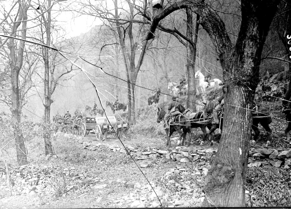 Mit den Geschützen auf einem schmalen Waldweg - CH-BAR - 3239291