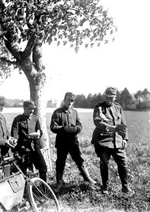 Mit Meldung versehene Brieftaube - CH-BAR - 3240472
