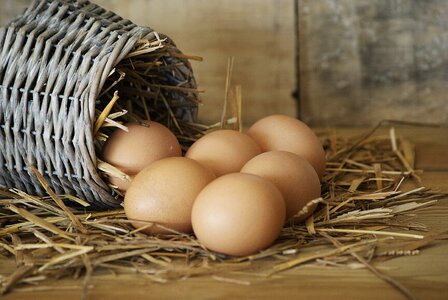 Food basket Free photos