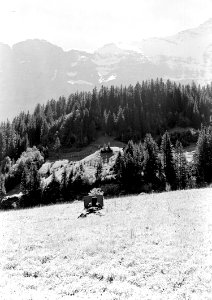 Mitrailleureailleur beim Gefechtsschiessen in Grindelwald - CH-BAR - 3240863