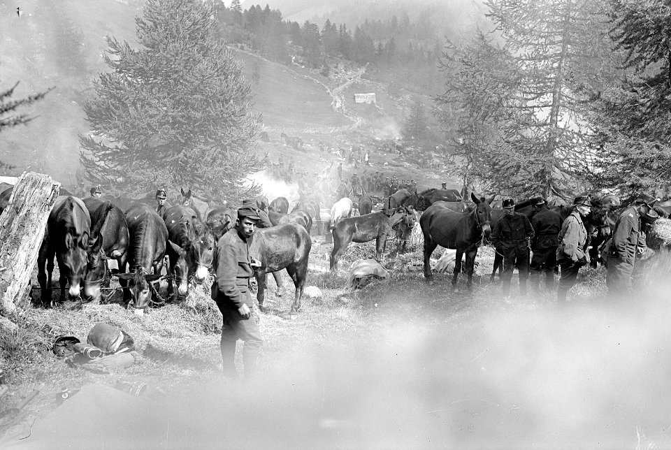 Mittagsrast, füttern der Saumtiere - CH-BAR - 3237003