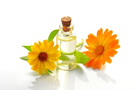Cosmetic oil natural product flowers photo