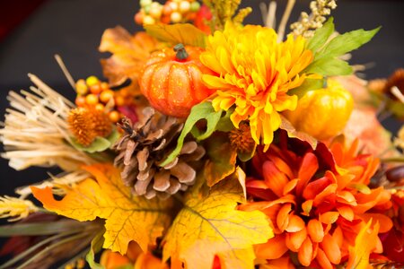 Thanksgiving season garden