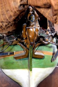 Model of Aurore-BSG 218-IMG 6851
