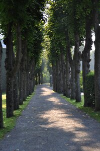 Walkway green pathway