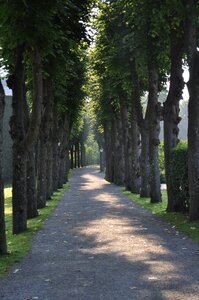 Walkway green pathway photo