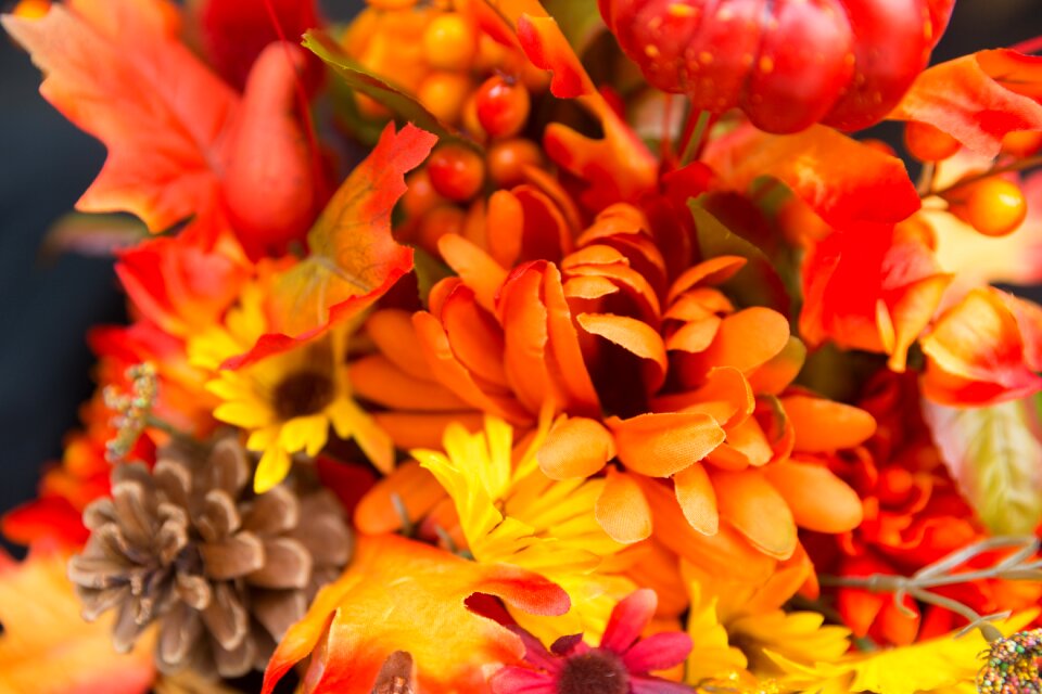 Thanksgiving season garden
