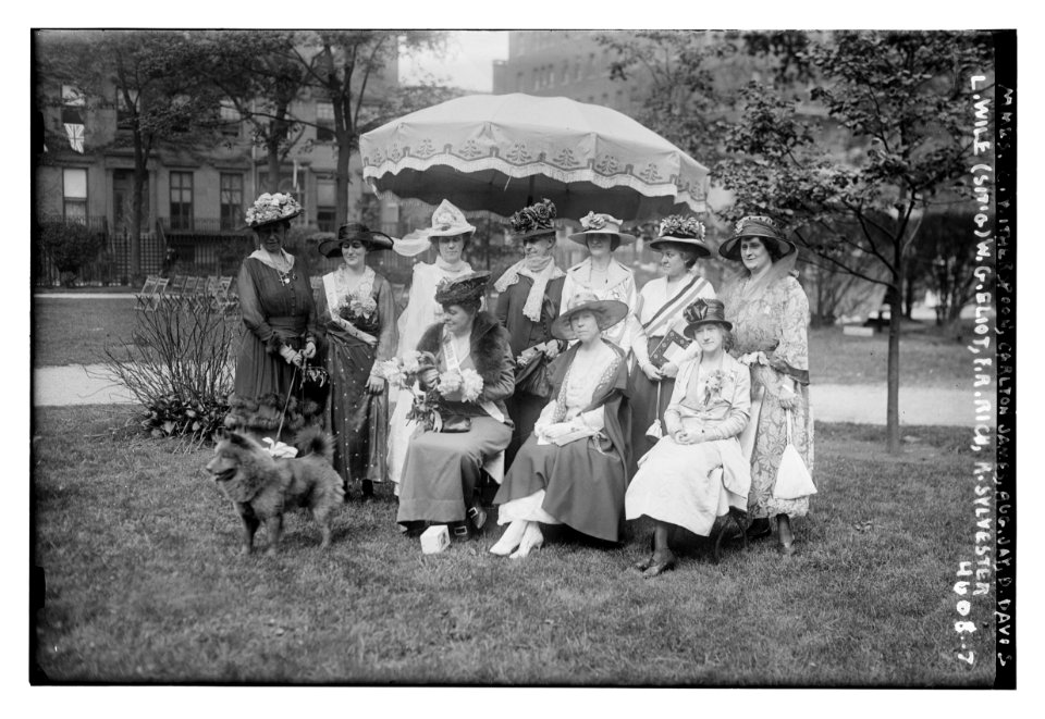 Mmes- C. Witherspoon, Carleton James, Aug. Jay, D. Davis, L. Wile, (sit'g) W.G. Eliot, F.R. Rich, R. Sylvester LCCN2014707081