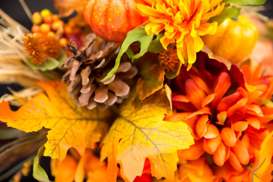 Thanksgiving season garden