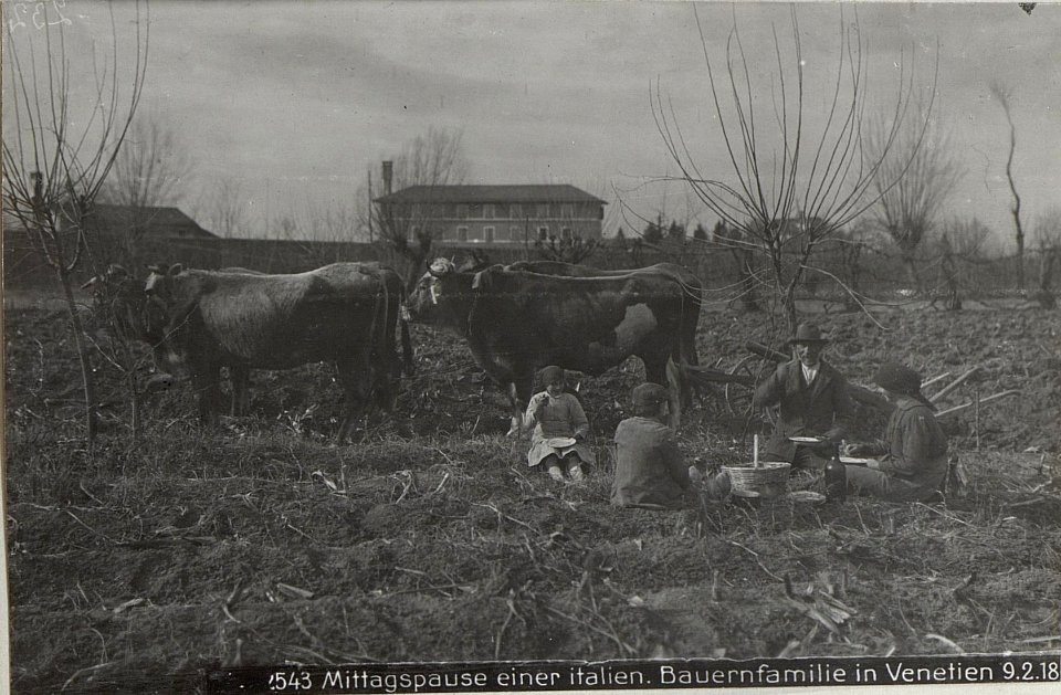Mittagspause einer italien.Bauernfamilie in Venetien 9.2.18. (BildID 15615035)