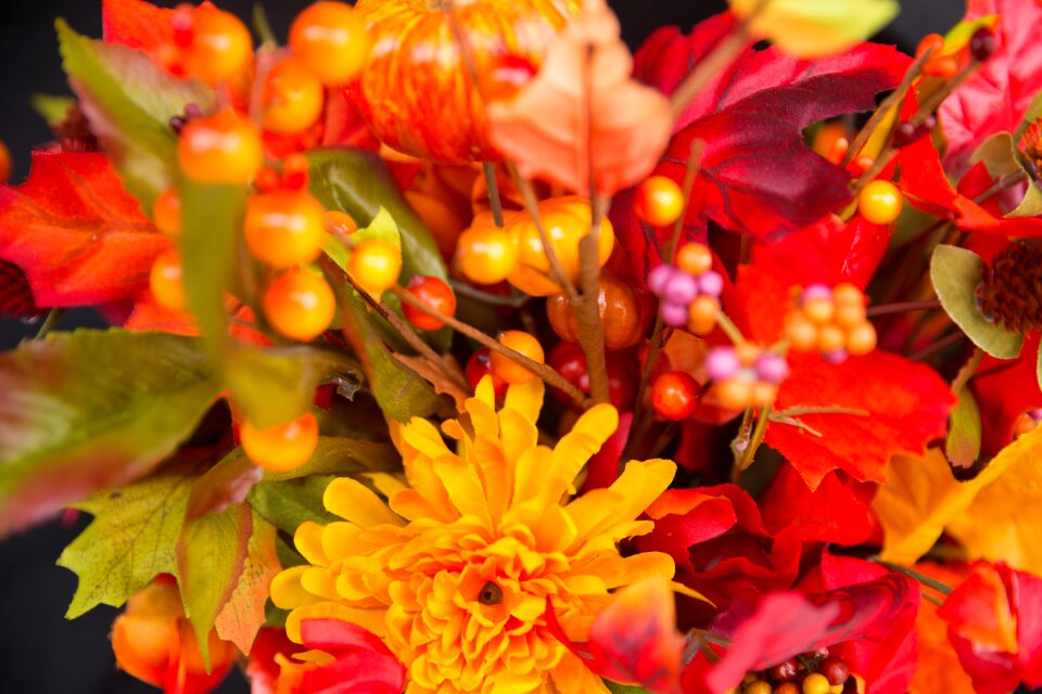 Thanksgiving season garden