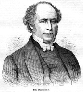 Nils Strindlund 1877