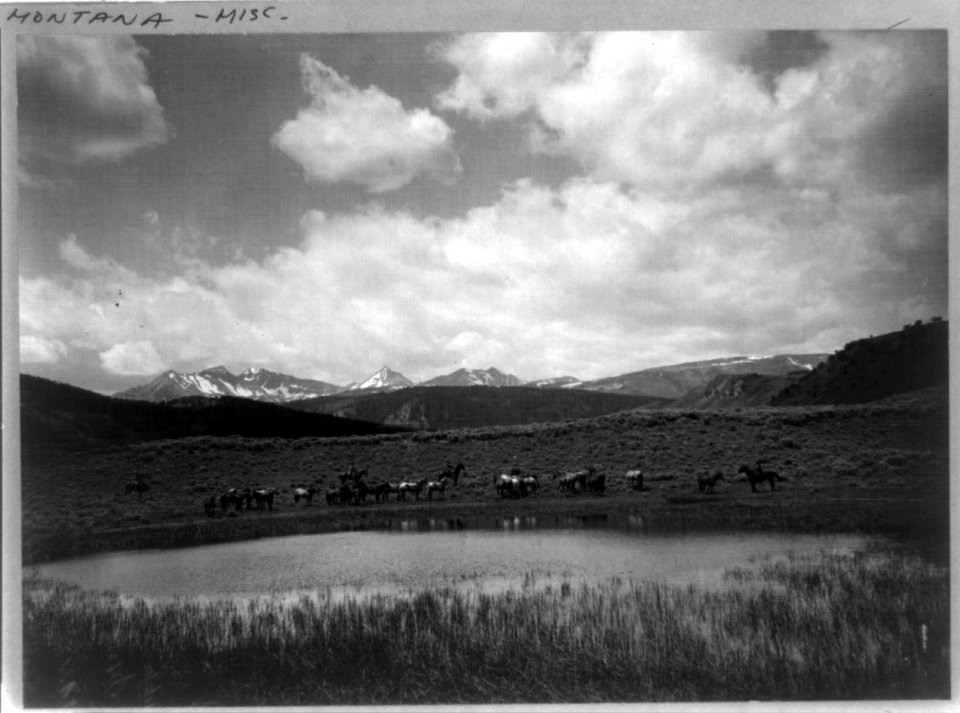 Nine Quarter Circle Ranch, Eldridge, Montana LCCN97505299