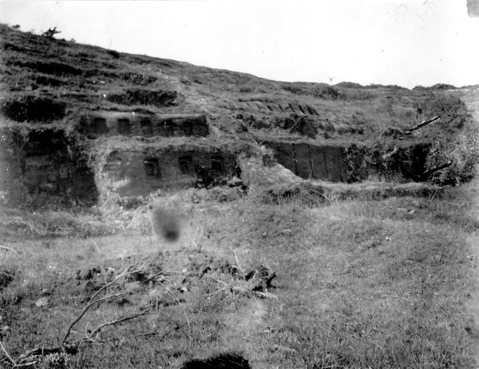 Nischer, terasser m.m. i det skulpterade berget El fuerte del Inca . . Lokal, Samaipata, SV - SMVK - 005859