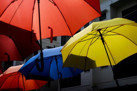 Umbrella colorful umbrellas