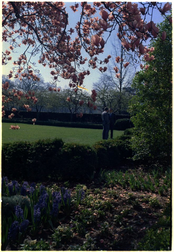 Nixon talking to Henry Kissinger ion the White House lawn - NARA - 194575