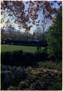 Nixon talking to Henry Kissinger ion the White House lawn - NARA - 194575