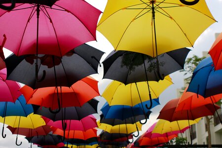 Umbrella colorful umbrellas photo