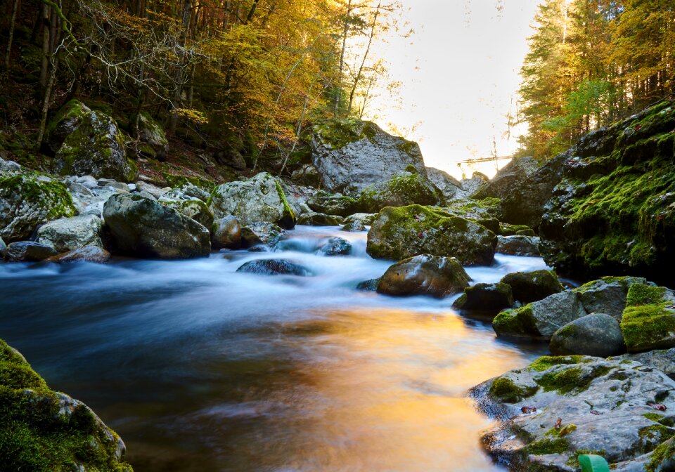 Stream water rocks