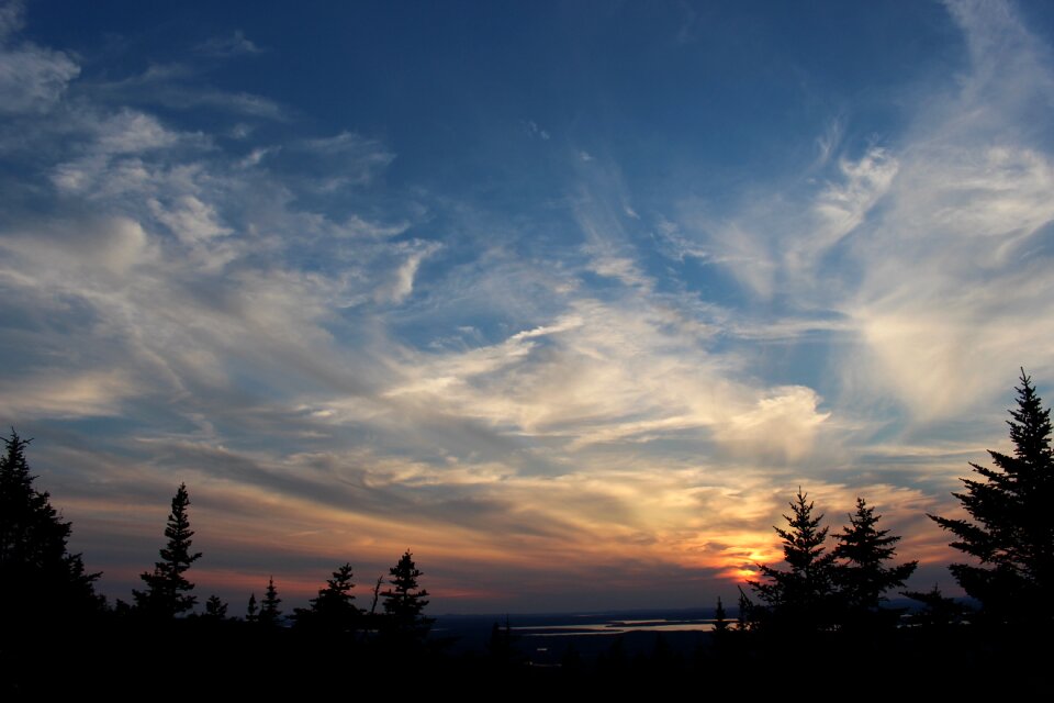 Night landscape nature