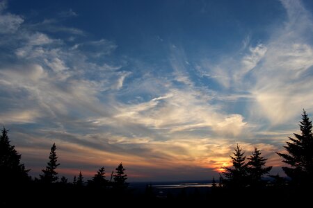 Night landscape nature
