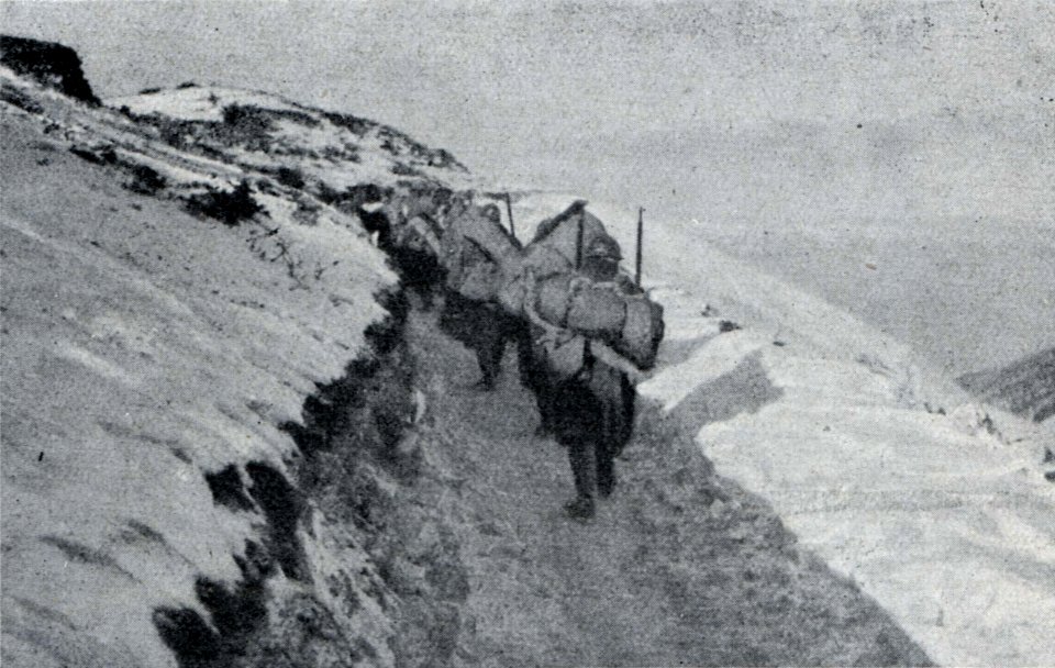 No 3905 Page 5, Sur le pentes du mont Grappa photo-2
