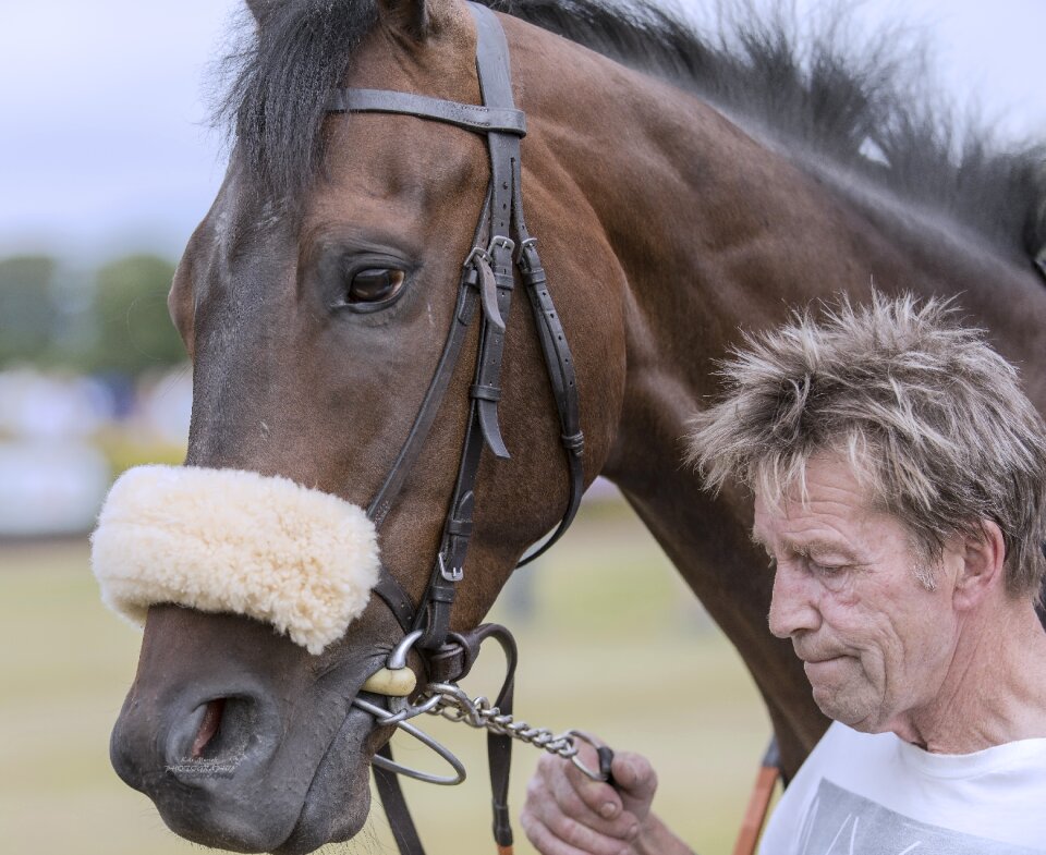 Horse man nature