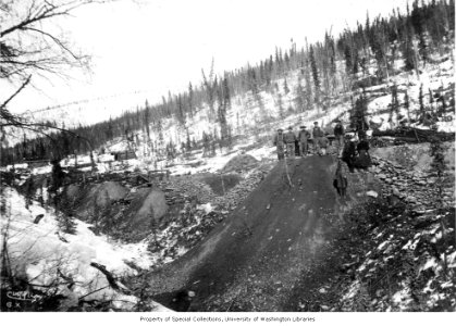 Nine men and one woman standing on top of a mining dump, Sulphur Creek, Yukon Territory, ca 1898 (CURTIS 1851)