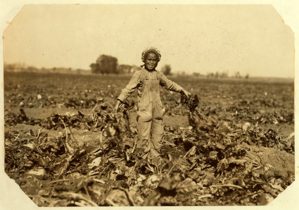 Nine year old Mollie Keller and her two sisters, 10 and 13 yrs old, pulling beets. The overalls are used by many girls and women. They said they begin sometimes at 5 A.M., usually about 6 or LOC nclc.00319