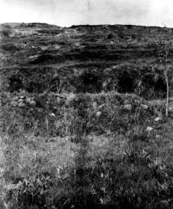 Nischer i terasserna på det skulpterade berget. Lokal, Samaipata, SV - SMVK - 005869