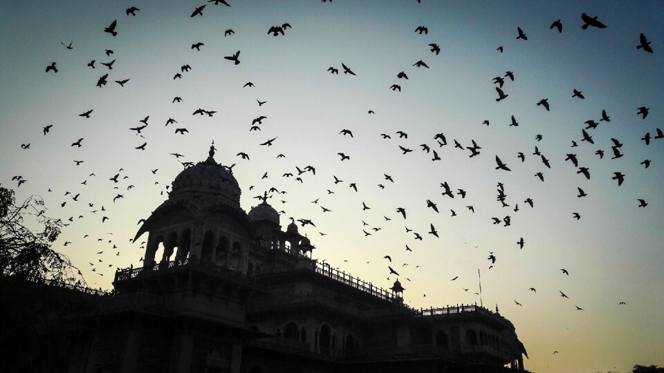 Flying sky flight