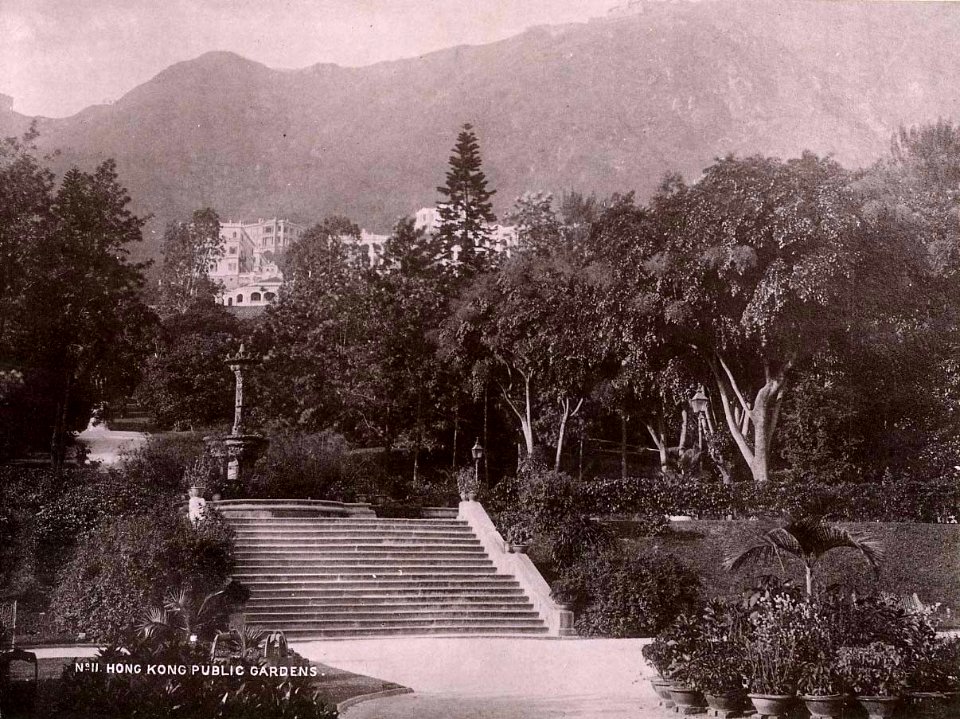 No 11 Hong Kong Public Gardens by Lai Afong