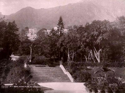 No 11 Hong Kong Public Gardens by Lai Afong