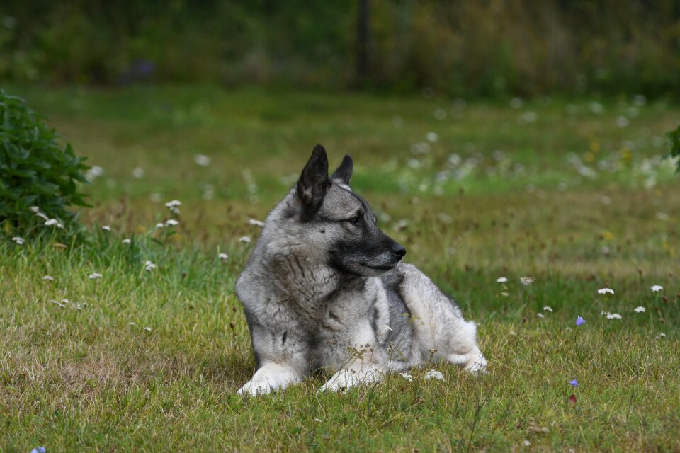 Nature outdoor cute