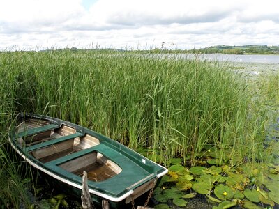 Nature reeds green boat photo