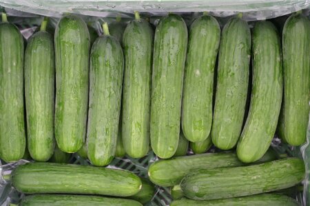 Healthy fresh vegetarian