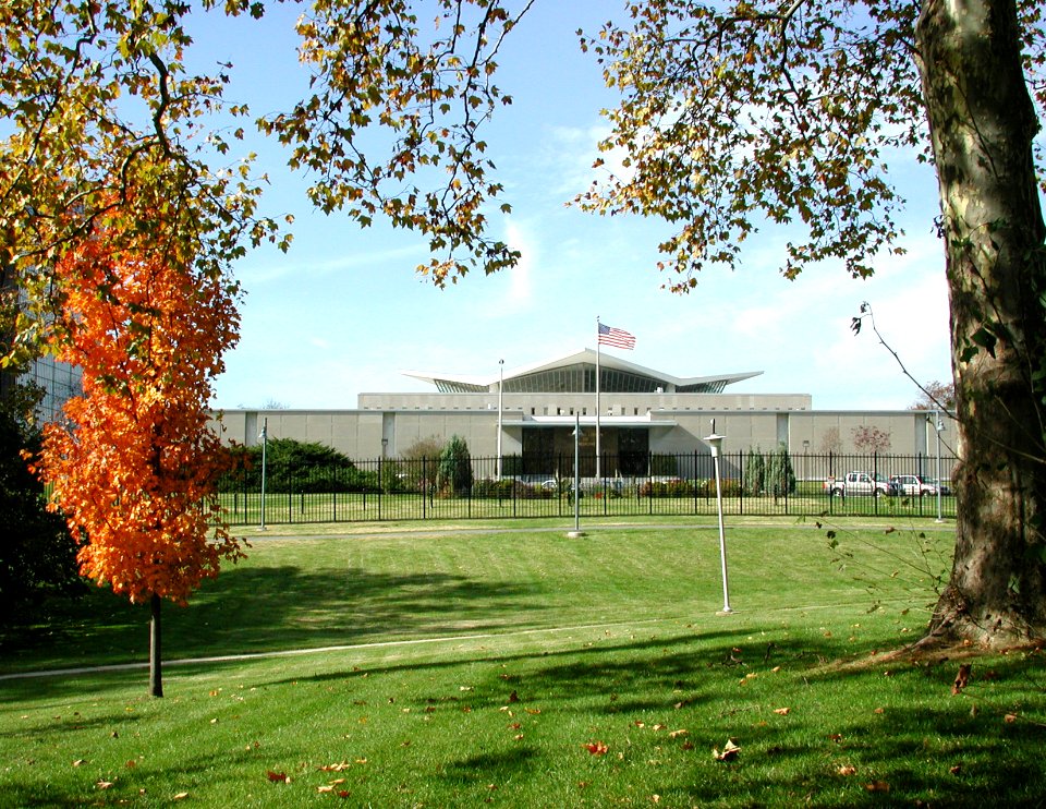 NLM 5