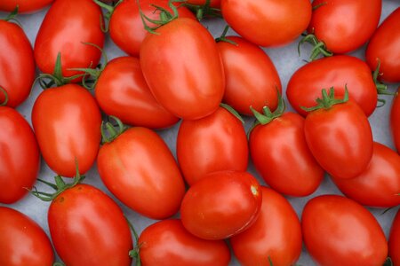 Fresh healthy roma