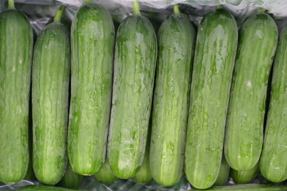 Vegetables healthy fresh
