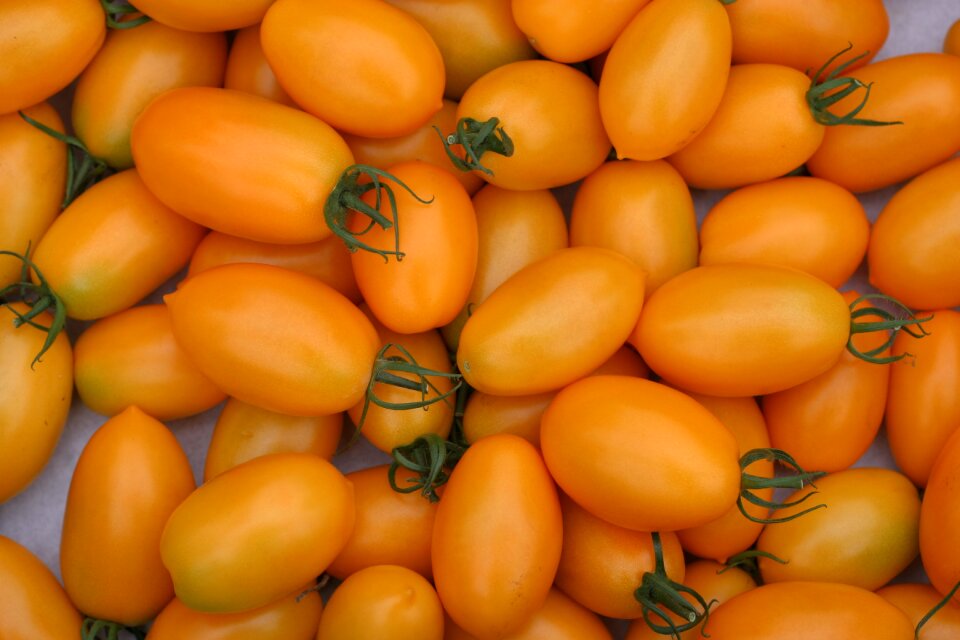Vegetables yellow fresh