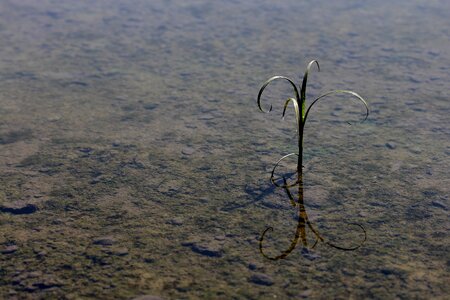Reflection water loneliness