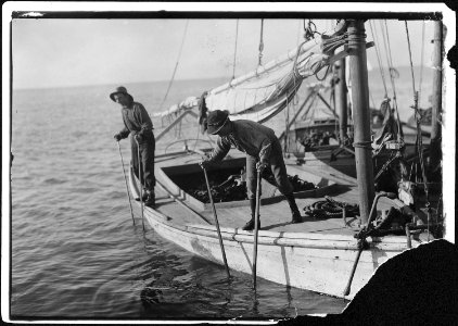 No caption. Two boys on boat. - NARA - 523389