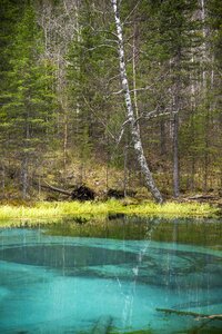 Spring lake altai russia