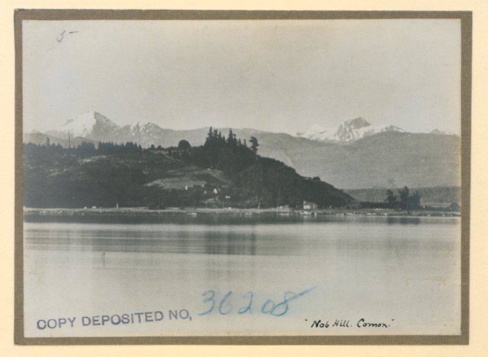 Nob Hill, Cornox (HS85-10-36208) original