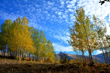 Landscapes nature sky grass
