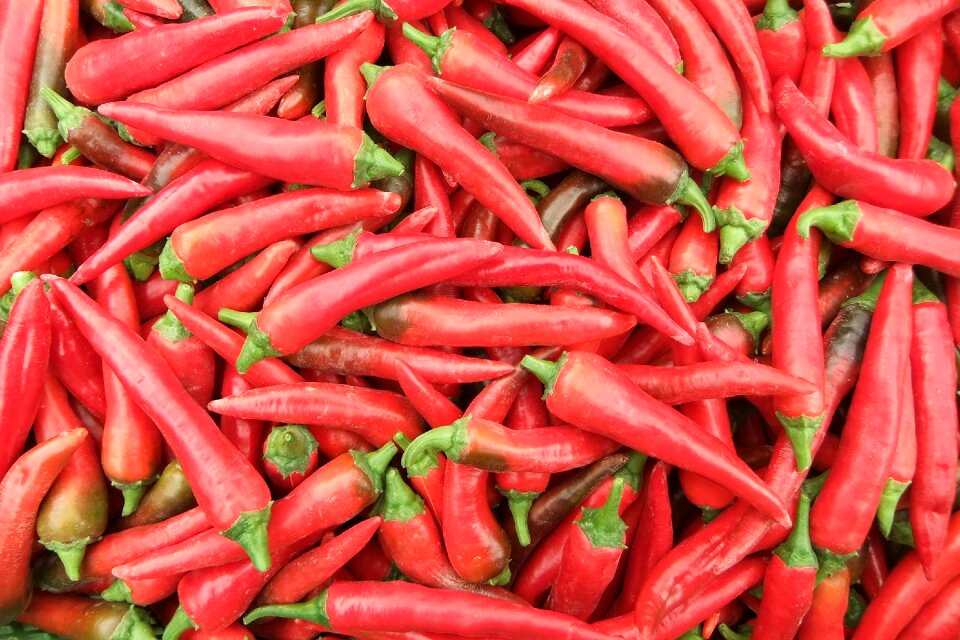 Red vegetables spice