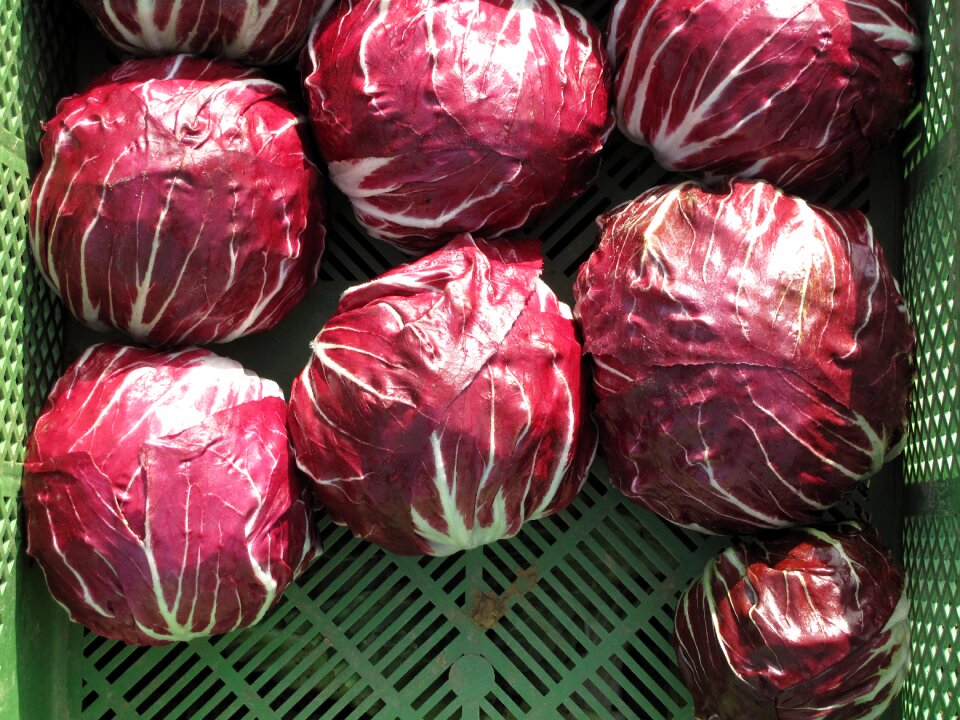 Nutrition red healthy
