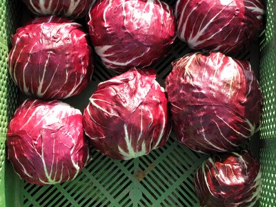 Nutrition red healthy