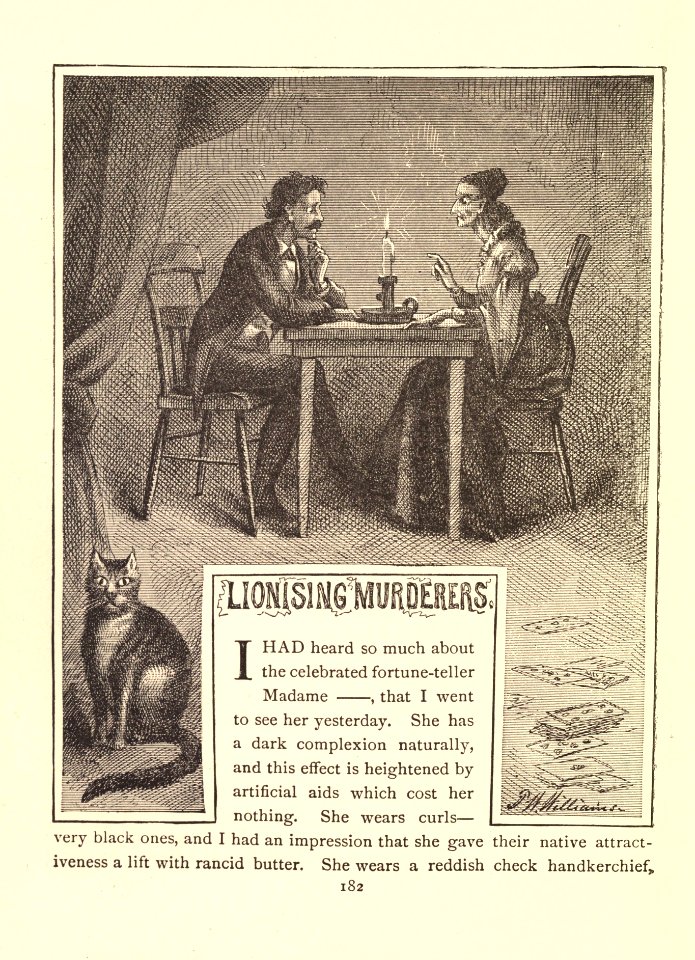 Mark Twain's Sketches, New and Old, p. 182